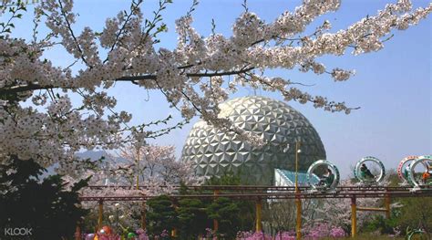 서울랜드 할인: 환상과 현실의 교차로